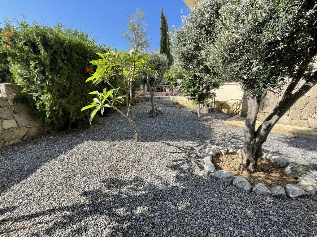 A backyard with a gravel ground, multiple trees, bushes, and plants, and a stone wall in the background.