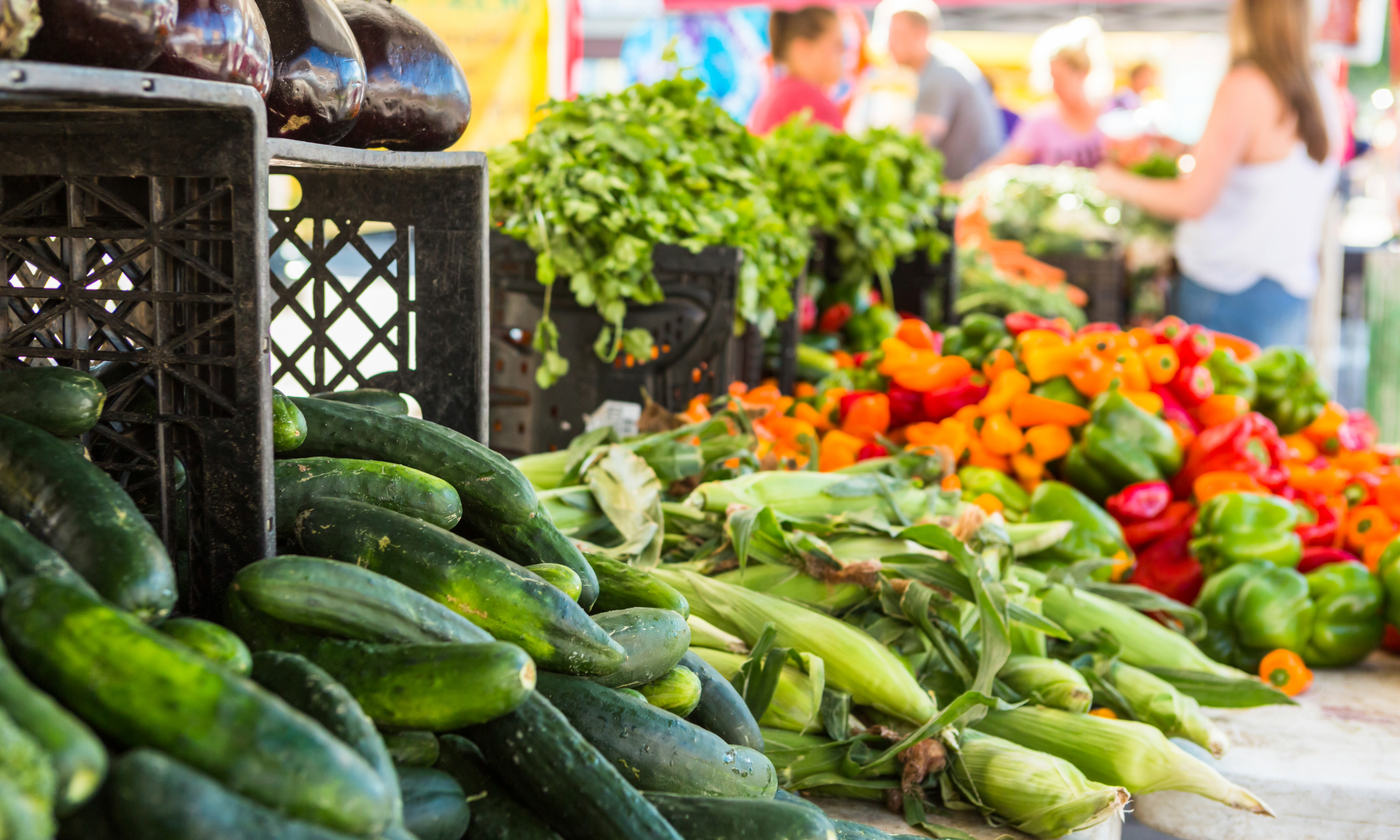 Farm to Table Movement