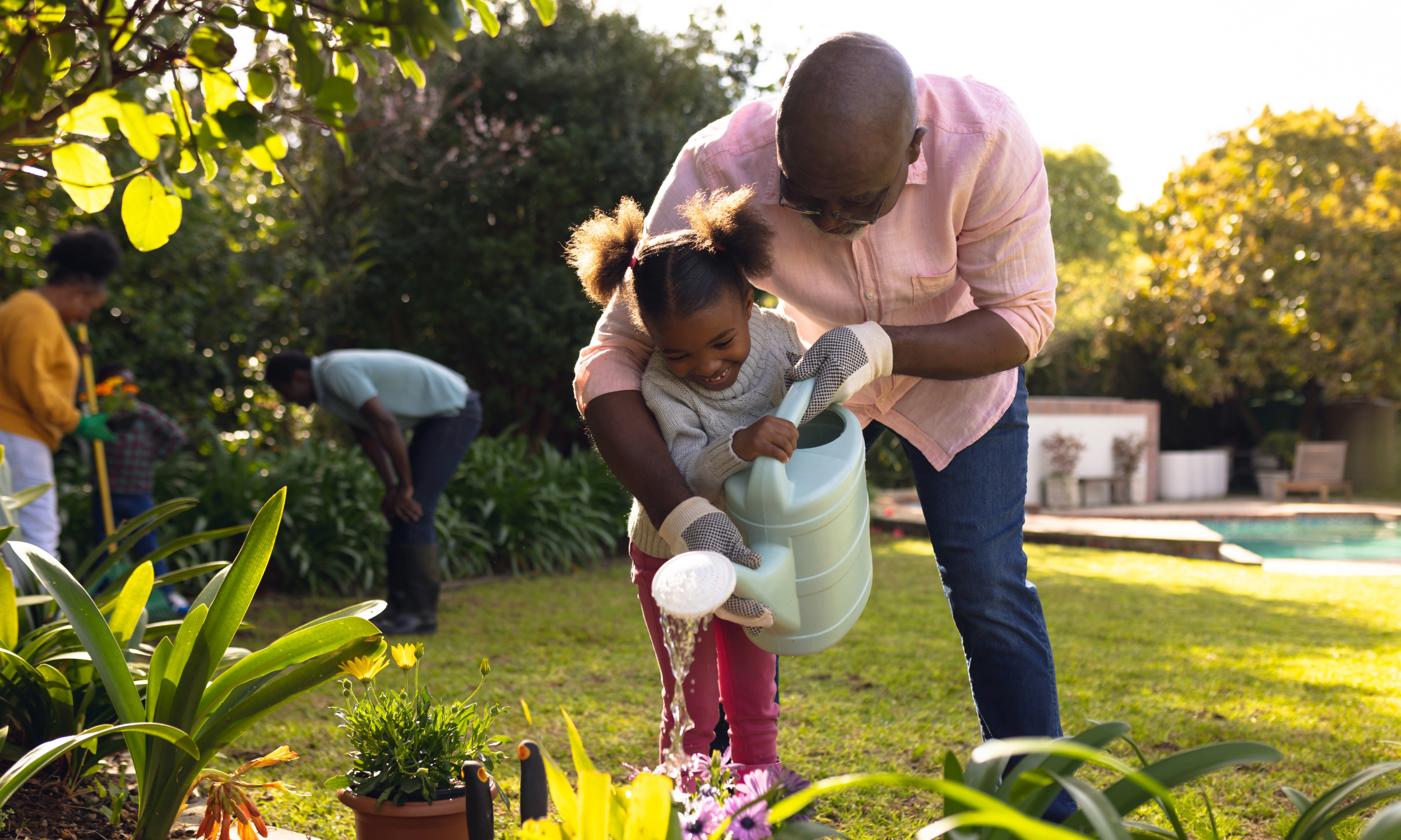 What is the Difference Between Term Life Insurance and Whole Life Insurance?&nbsp;