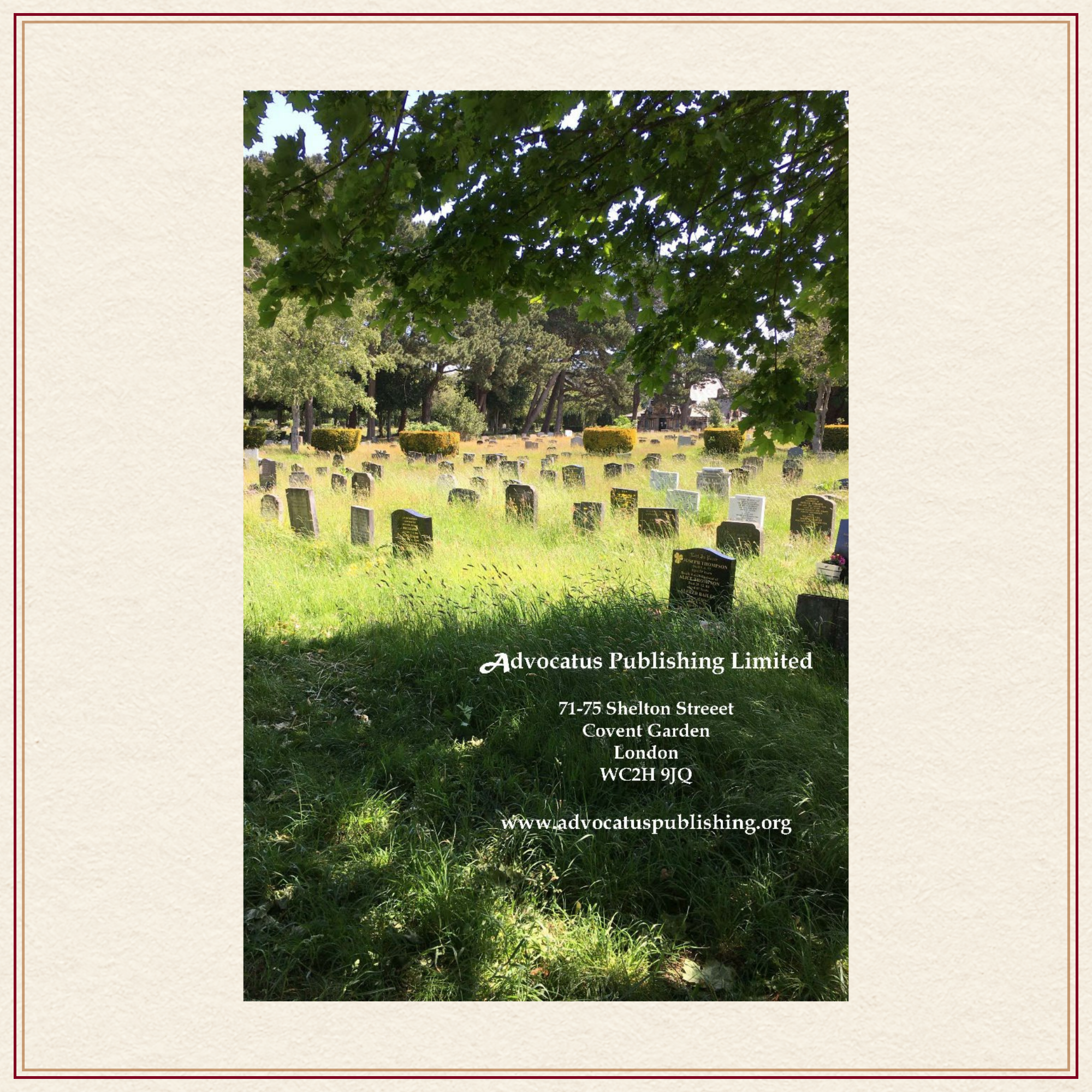 Back cover Dying of the Light academic poetry collection
