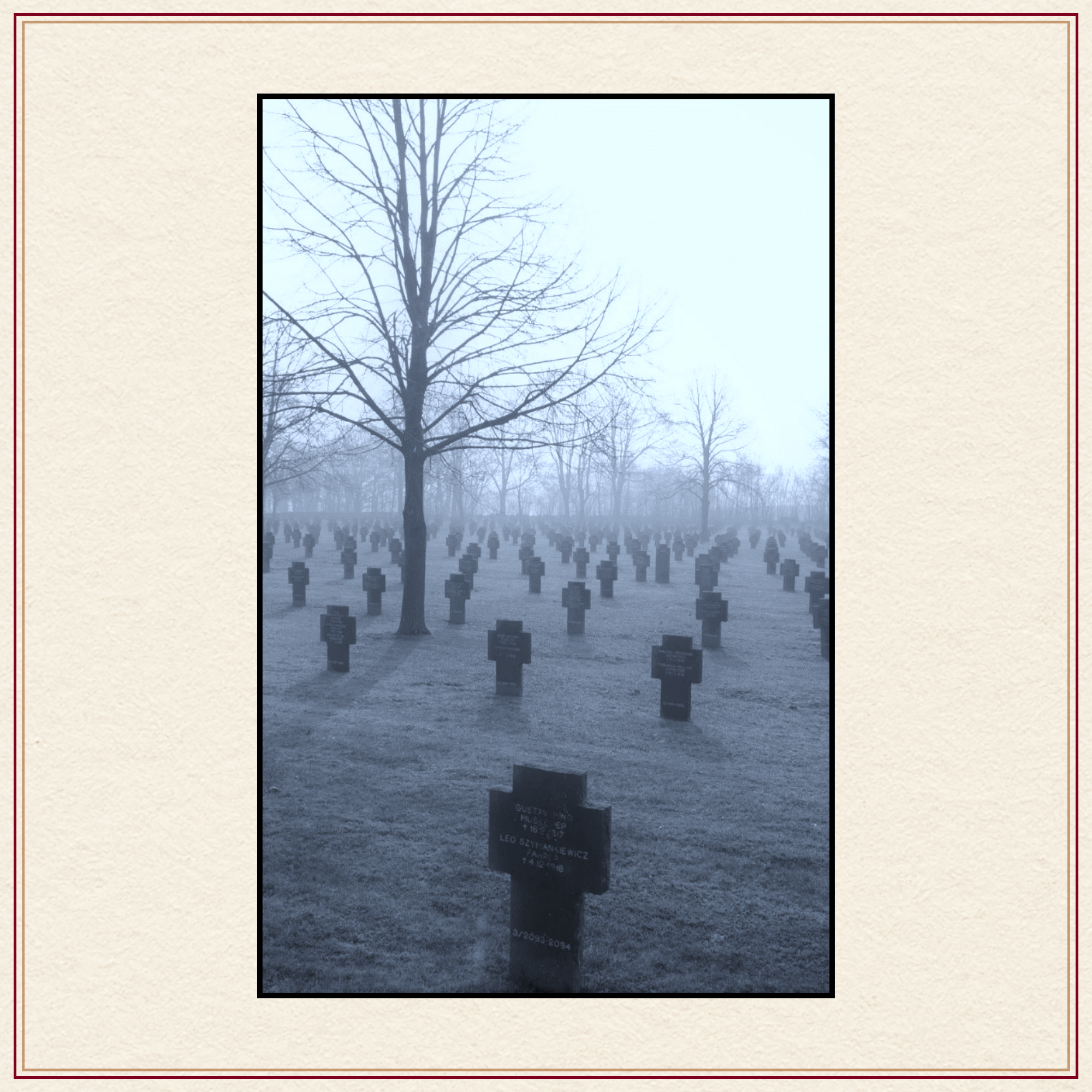 Back cover Last Post for History Great War poetry and prose collection