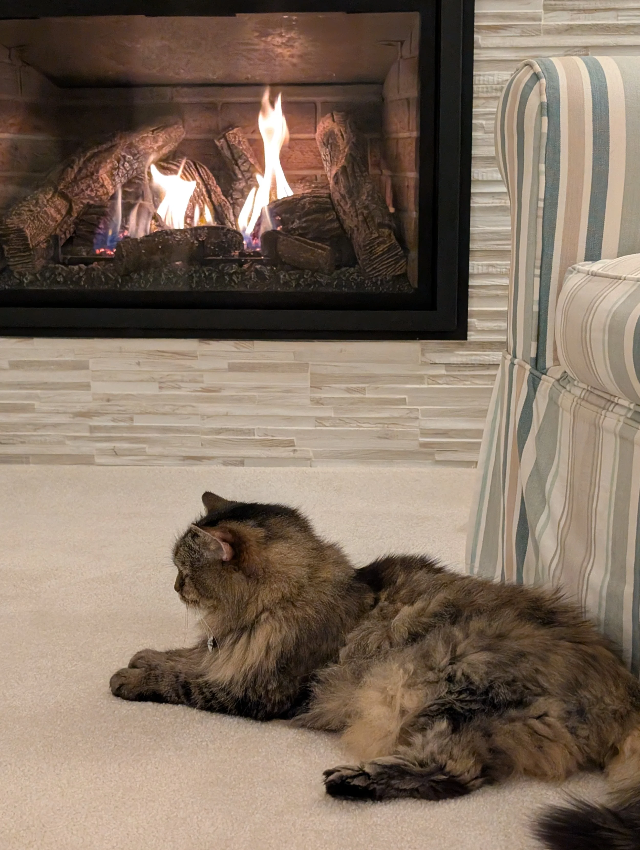 A tabby cat lying on a beige carpet near a fireplace with a fire burning inside, a striped armchair is visible on the right side, and part of the cat's head is at the bottom edge of the image.