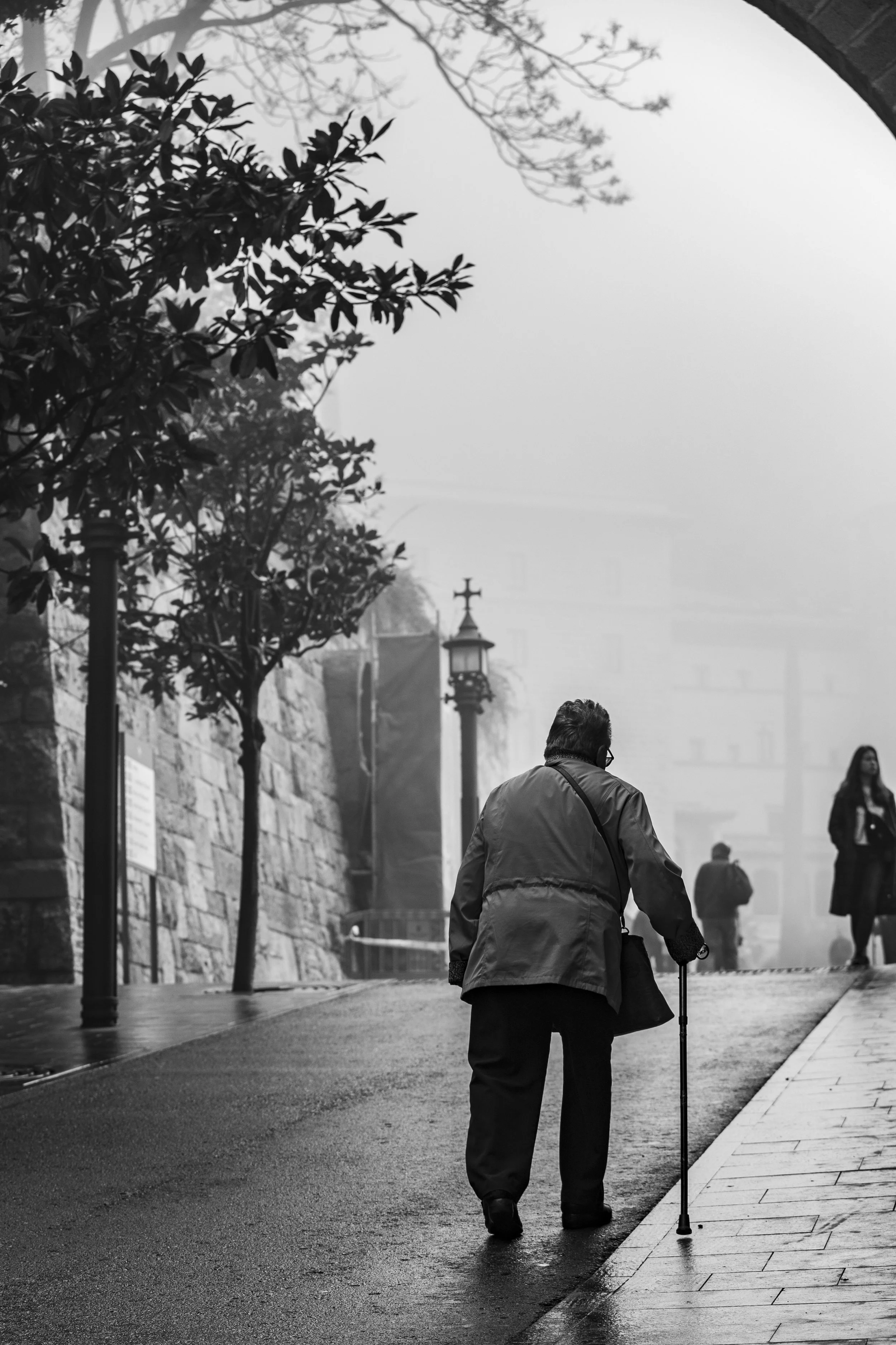A black and white photo of an elderly person walking with a cane on a misty, rainy street, with trees and street lamps along a stone wall and other people in the background. BoldVision Studios