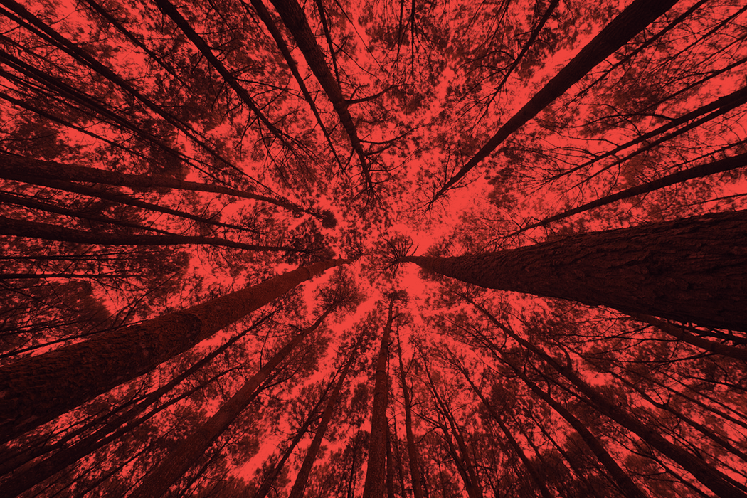 General Baptist Missions and Ministry Summit