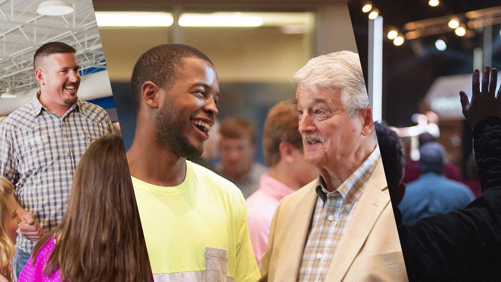 The Power of the IGP System