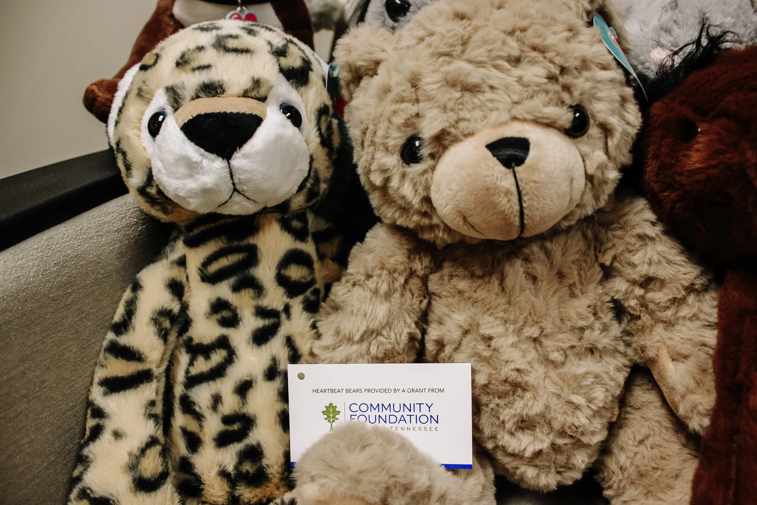 ACMC_HeartbeatBears_8.8.24 (1).jpg