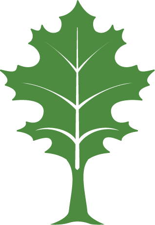 The Community Foundation's green leaf logo icon