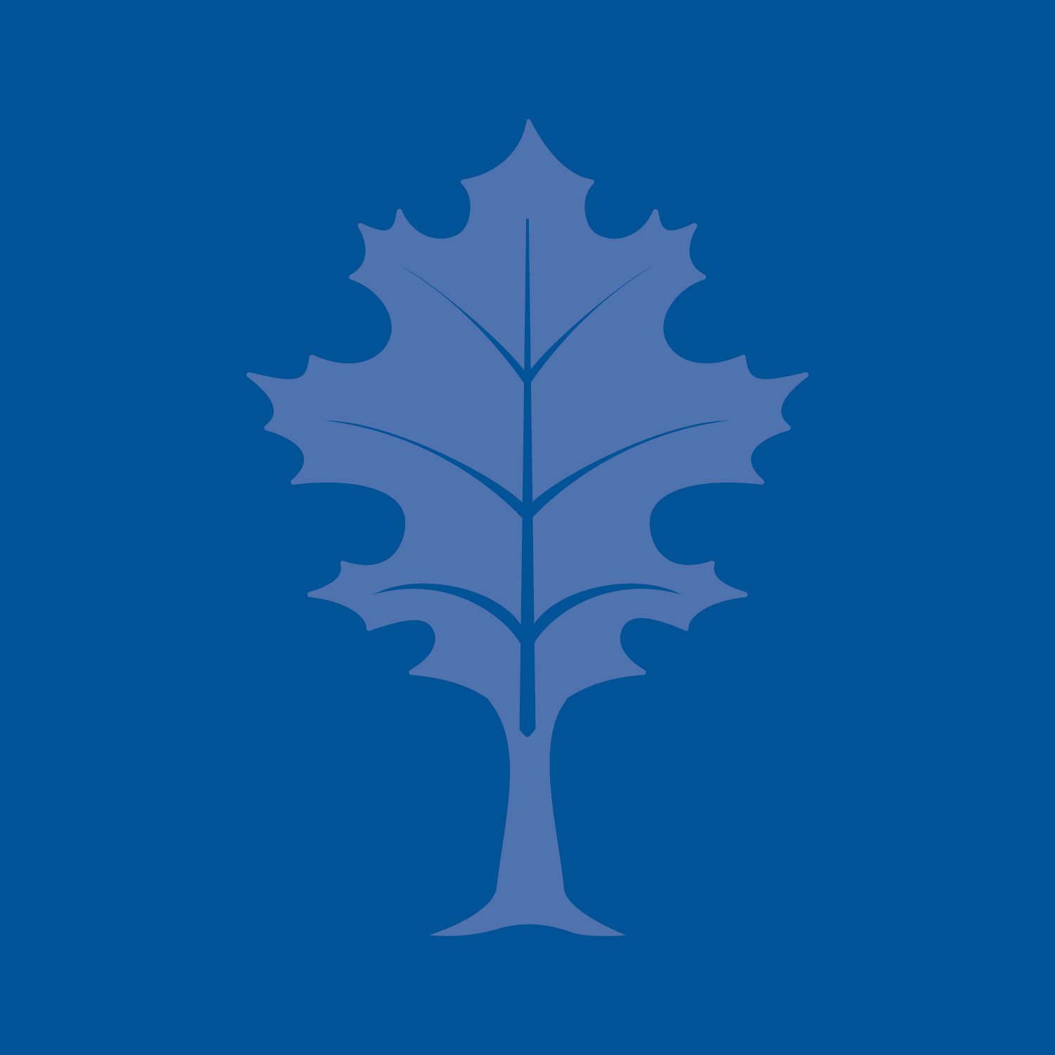 The Community Foundation's leaf logo faded onto a blue background