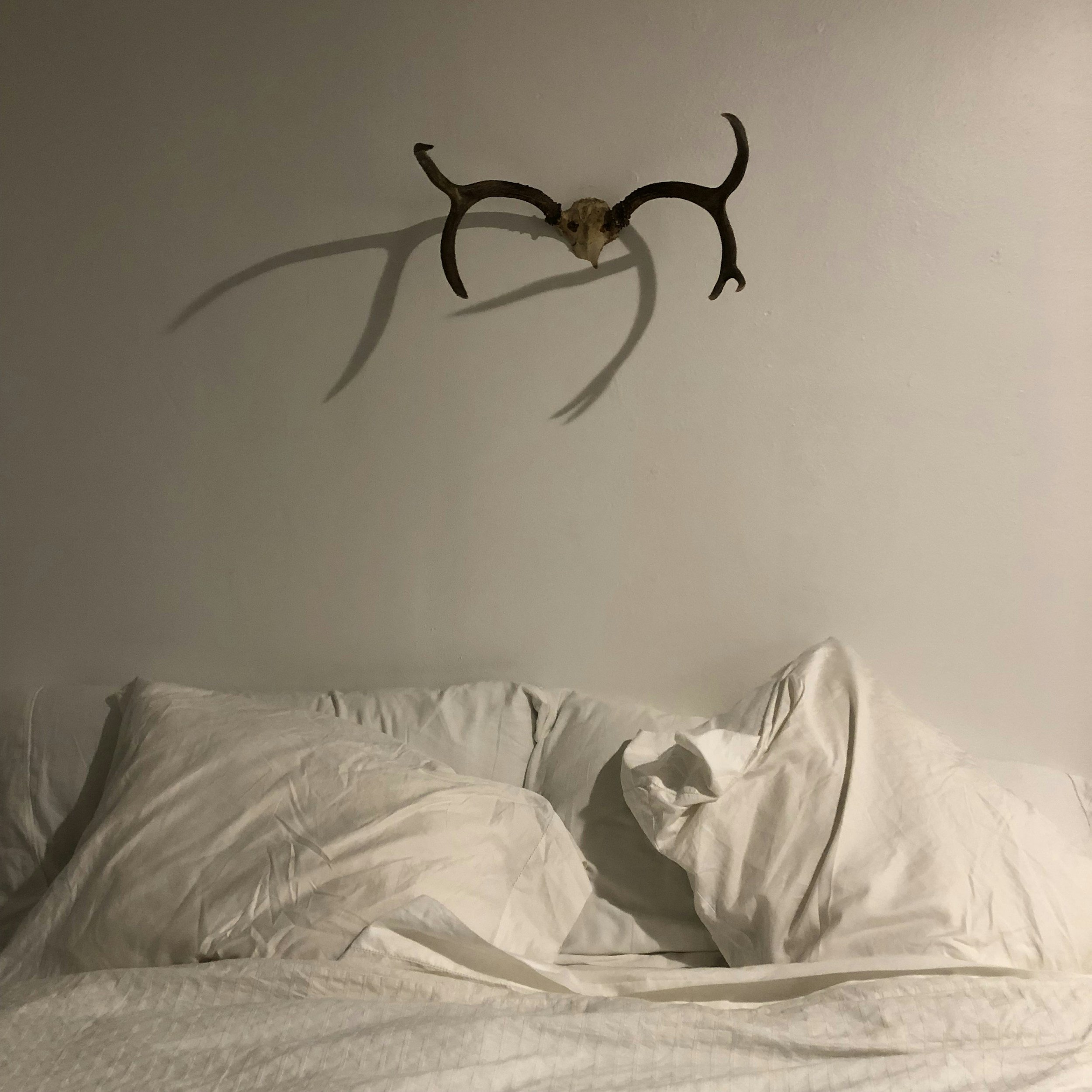 neutral messy empty bed