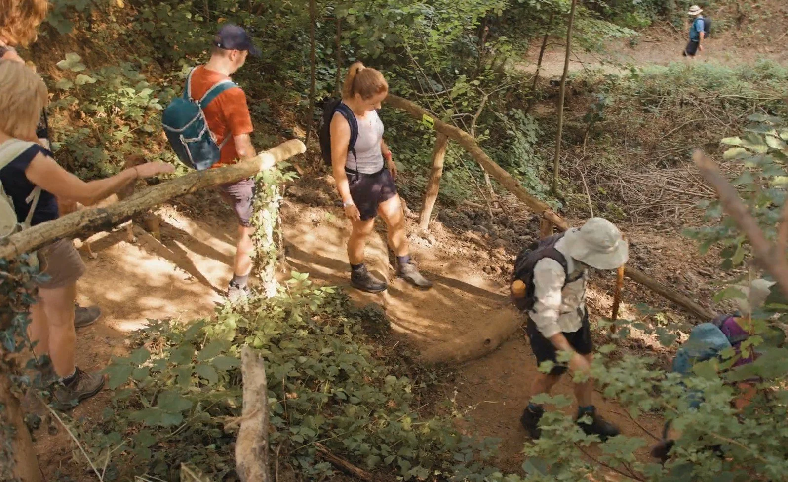 Hikers taking the stairs in a forrest