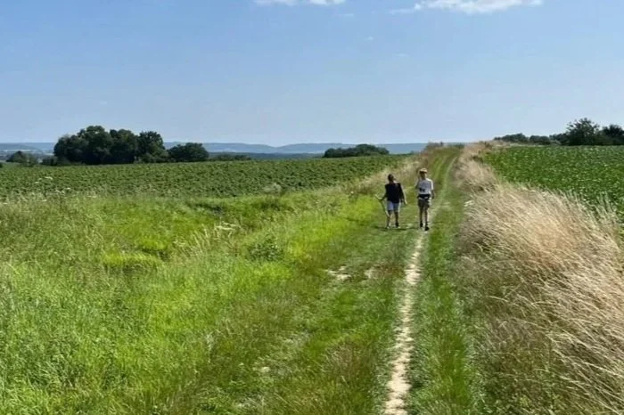 Walkers enjoying a peaceful hike through the countryside landscape.