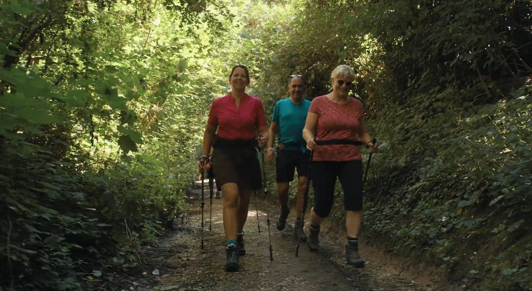 Hikers in the green forrest