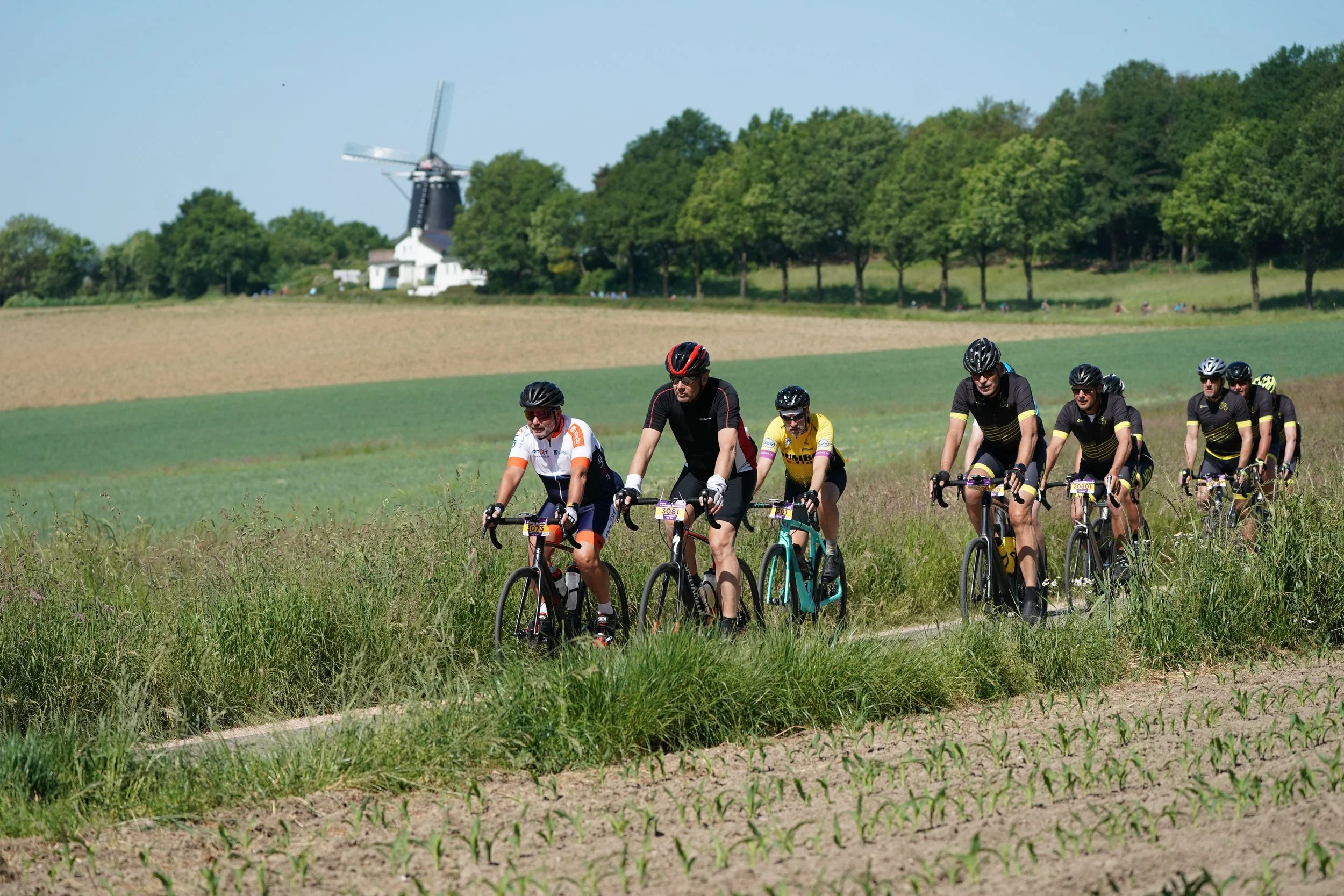 Road cyclists climbing scenic hills in South Limburg, famous for the Amstel Gold Race.