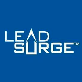 Lead Surge Advertising Logo