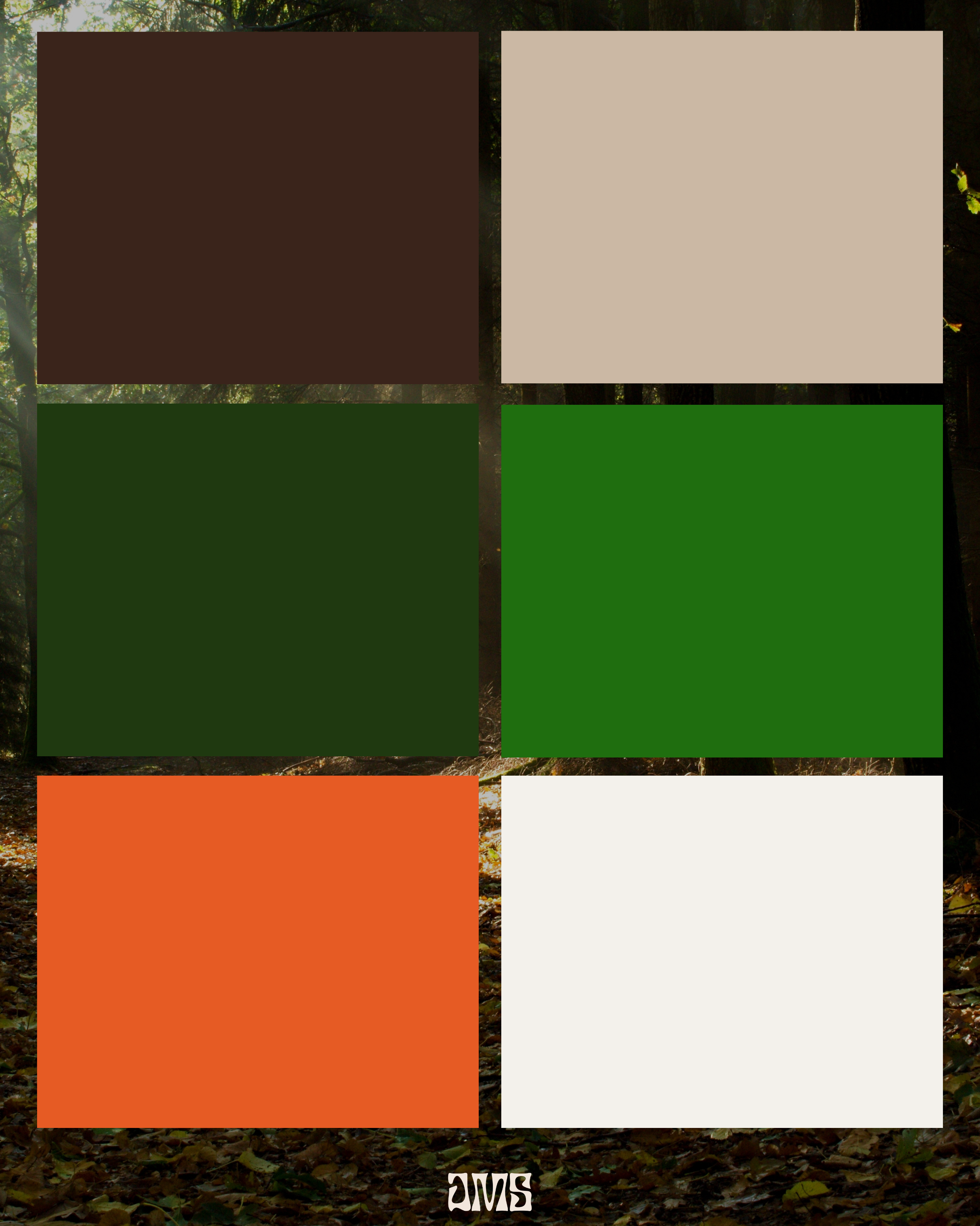 Day Rips color palette showcasing brand colors and visual identity system