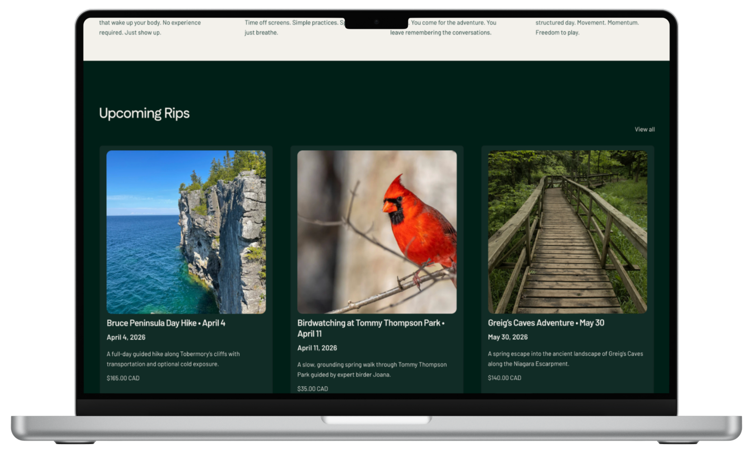 Upcoming Rips (Desktop) — A product-style trip grid that makes exploring experiences feel simple and exciting.