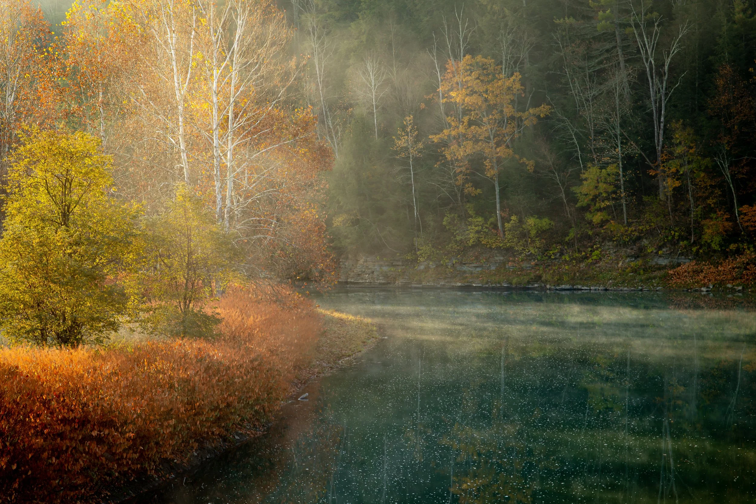 Dead Mans Curve-.jpg