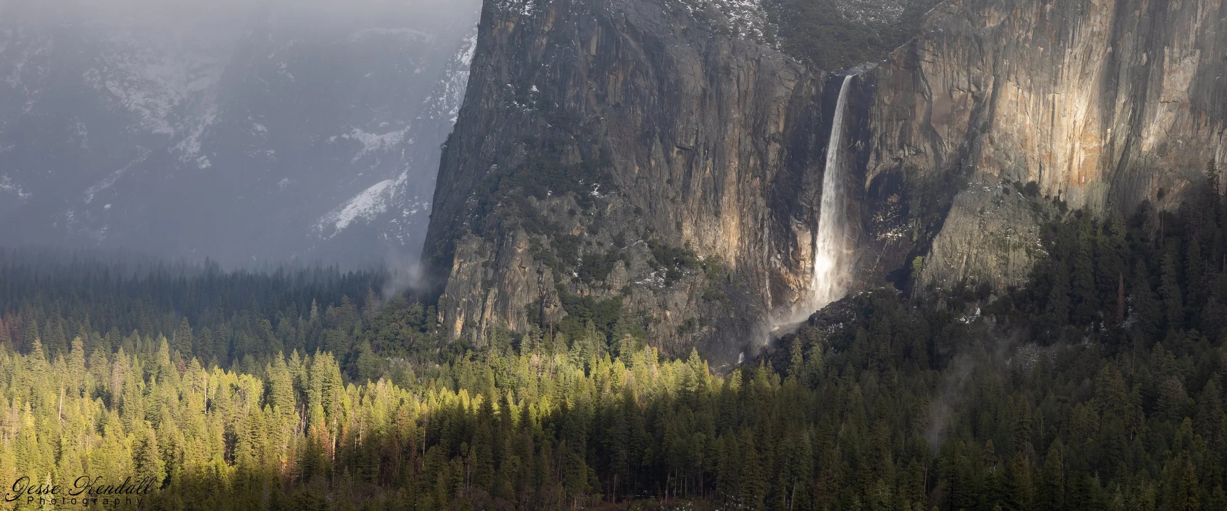 anaphamorphic Guiding Light-.jpg