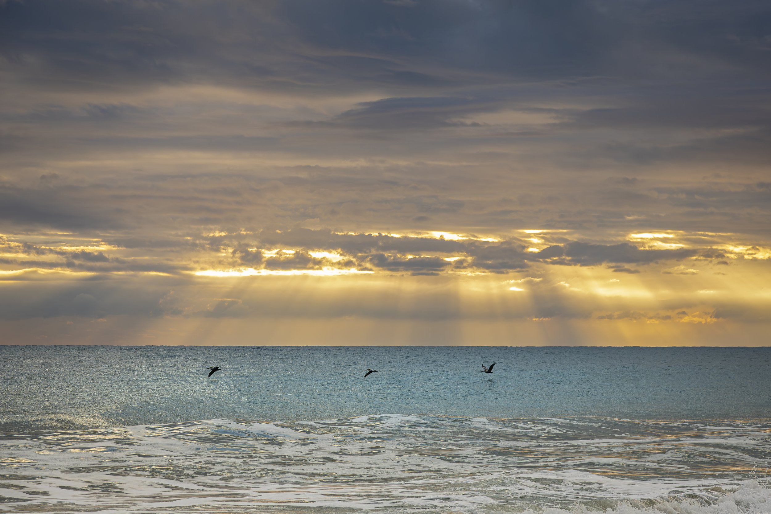 Hutchinson Island 0811-.jpg