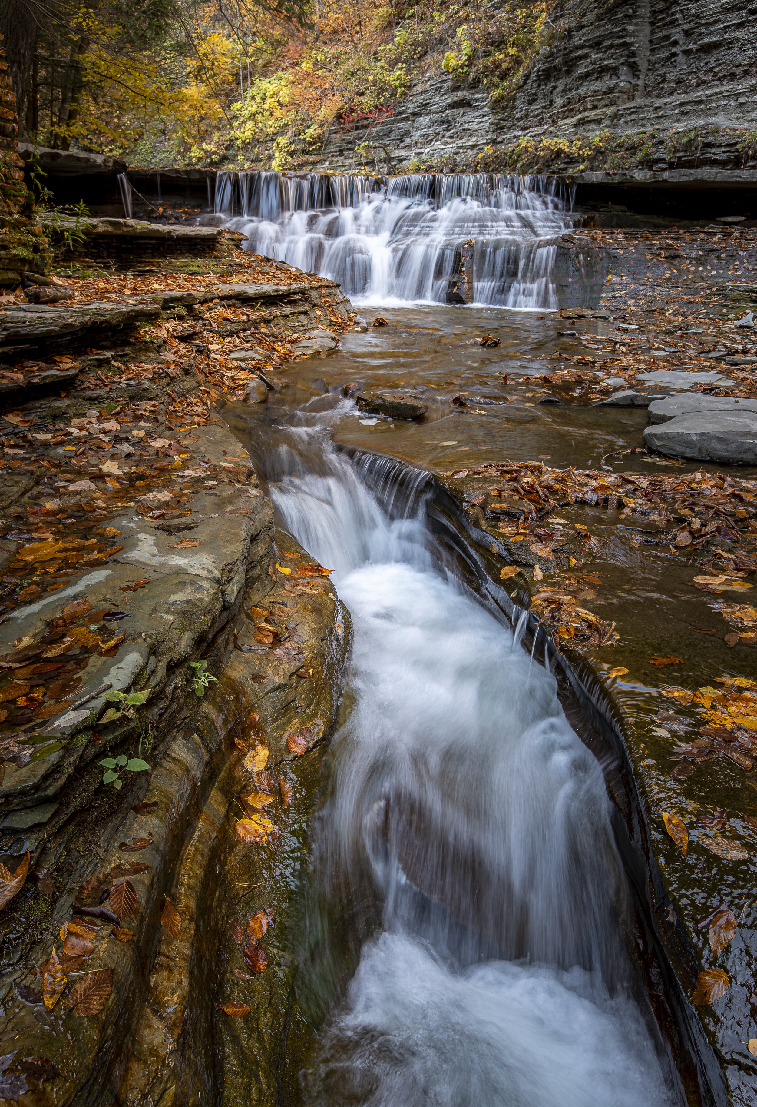 Stony Brook 13x19-.jpg