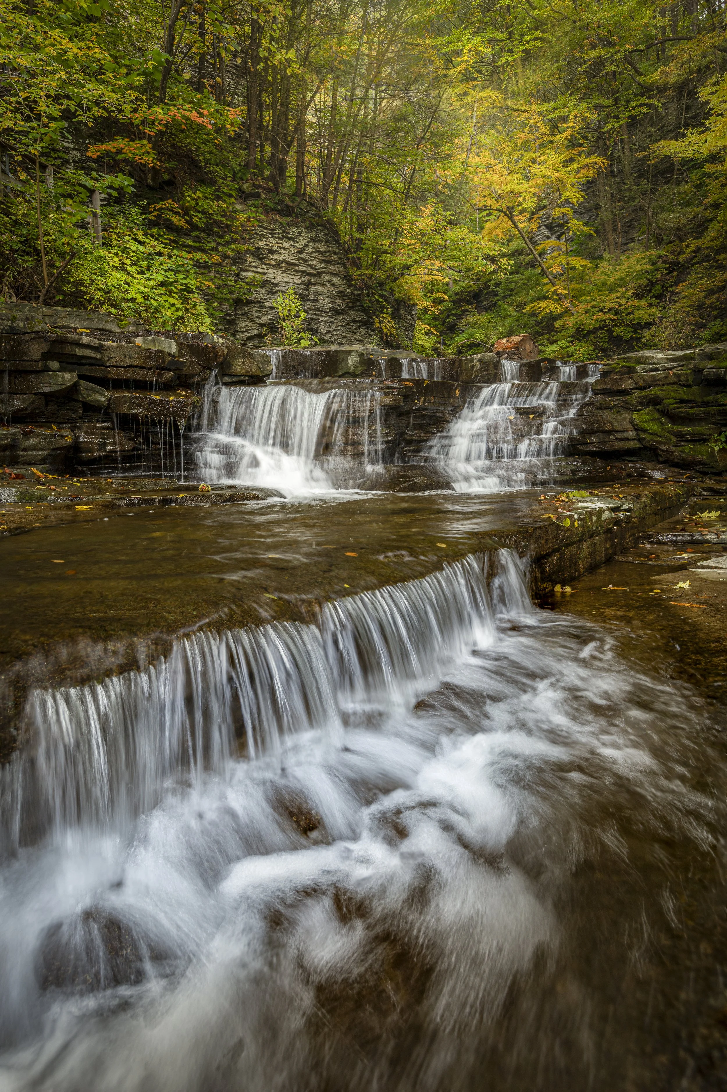Eagle Cliff Falls 12722.1-.jpg