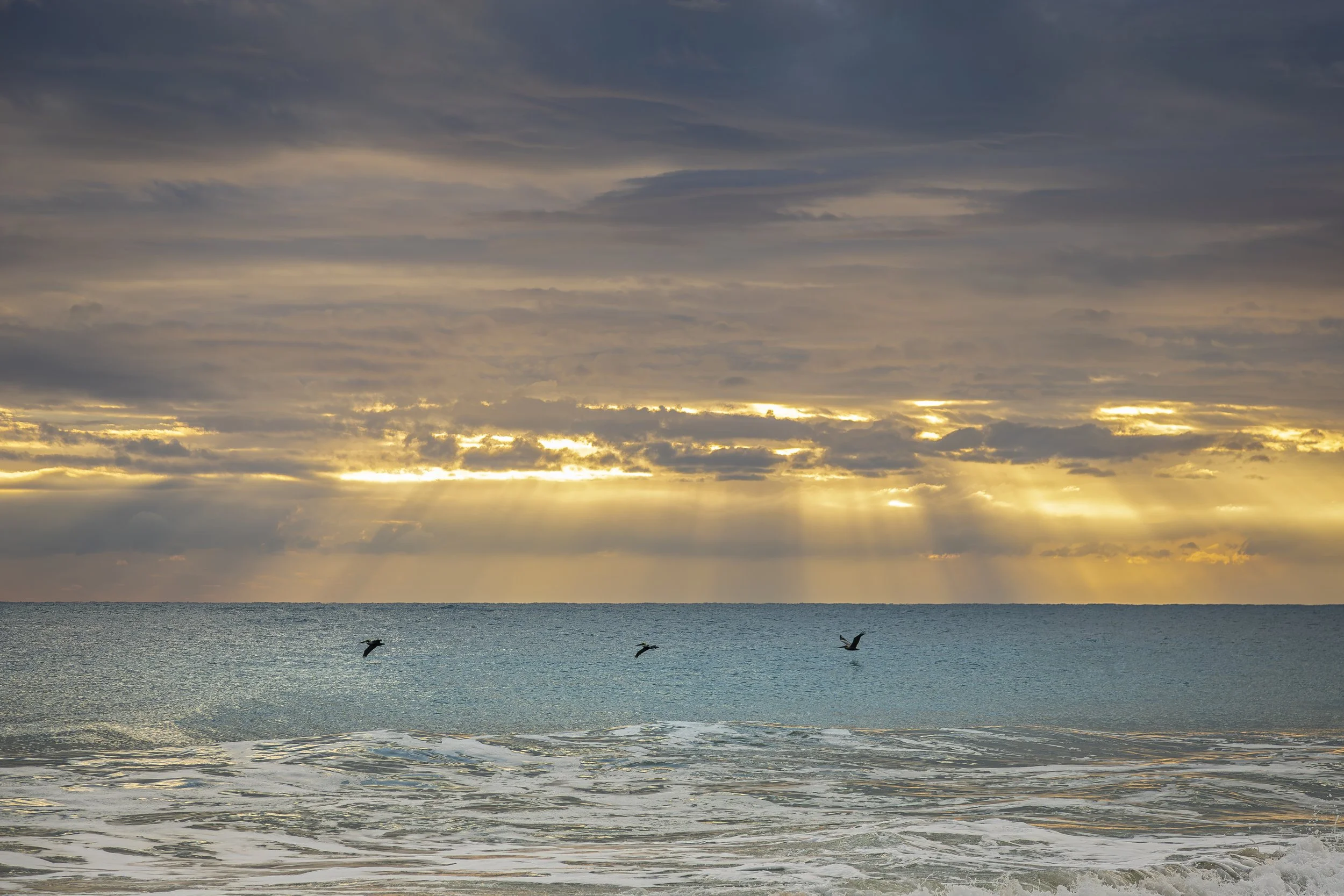 Hutchinson Island 0811-.jpg