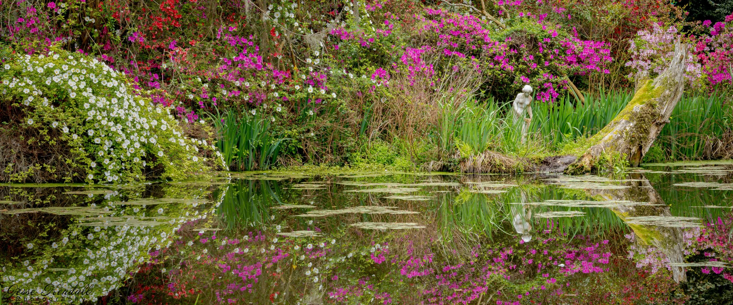 Cherub among the Flowers-8681.jpg