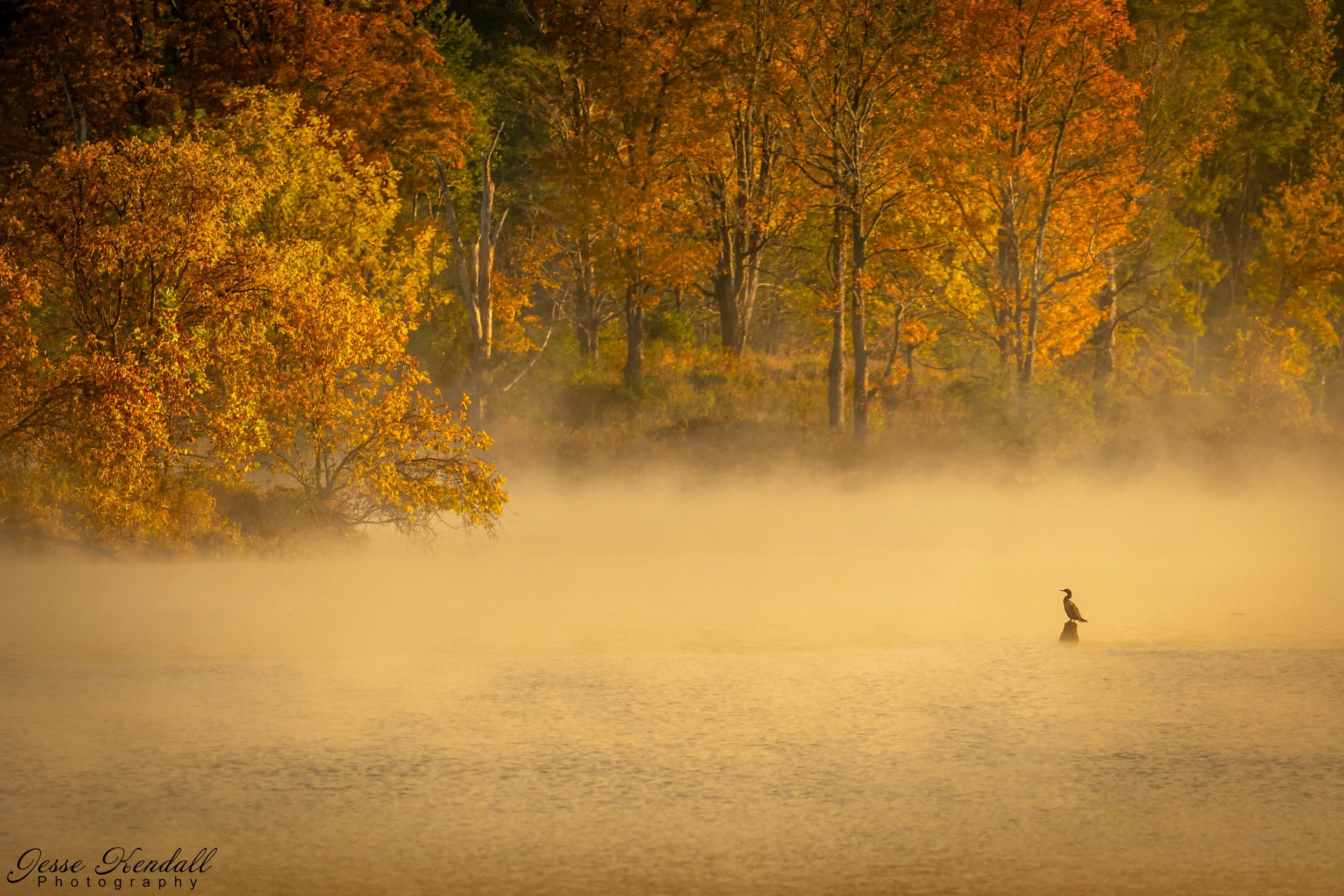 Patient Fisherman-0522.jpg