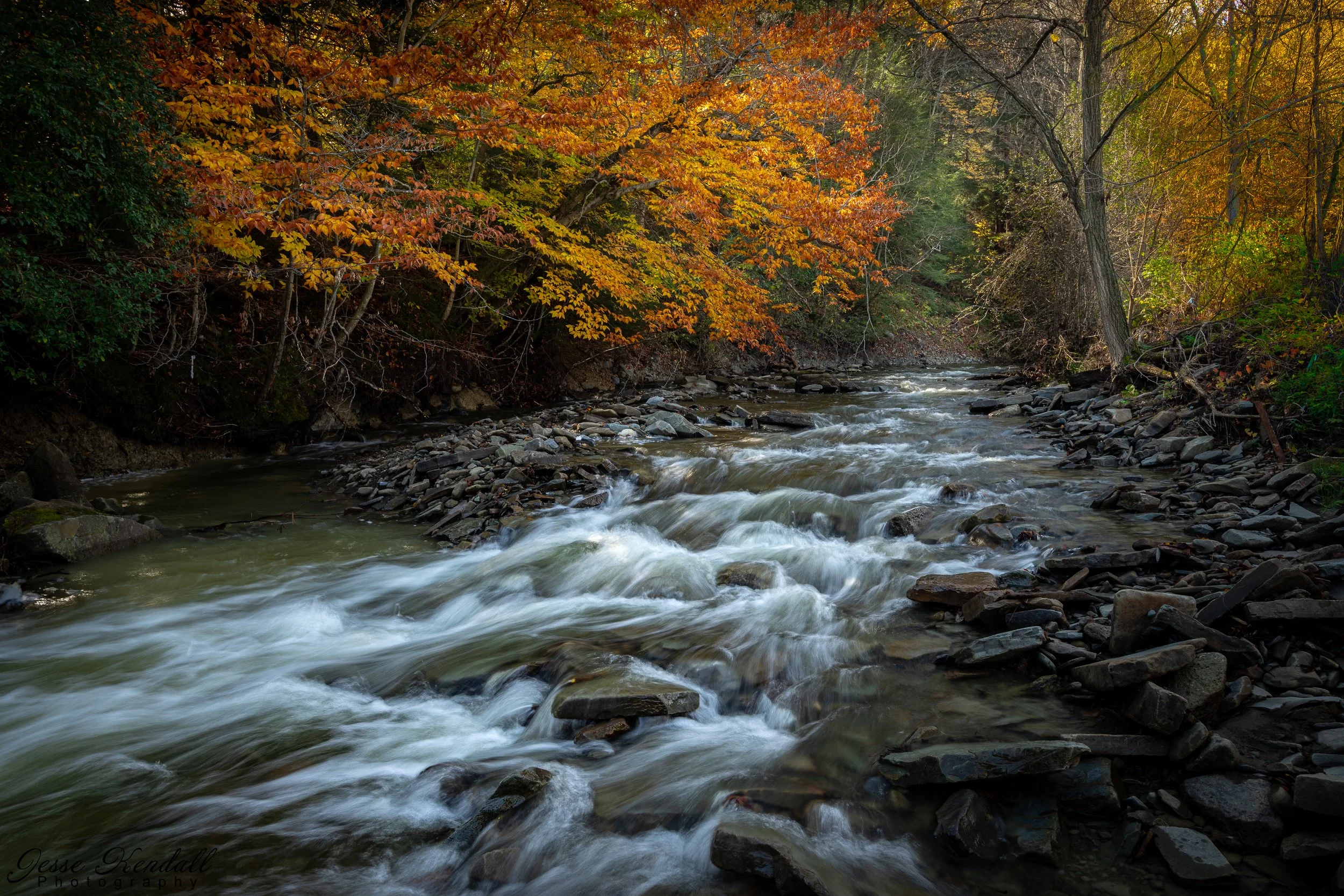 Staples Creek-11646.jpg