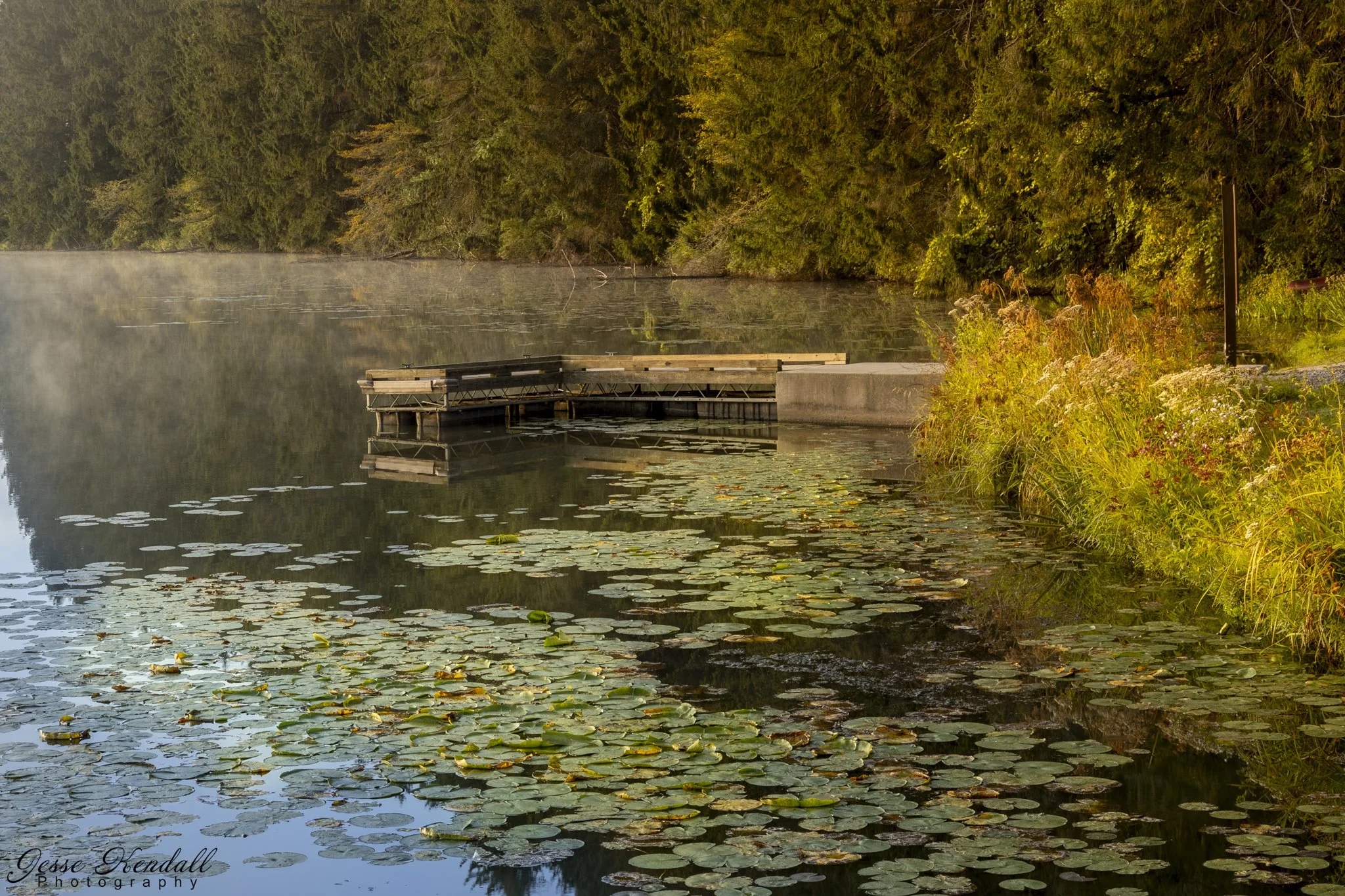 Boat Ramp at Hills Creek Lake-.jpg