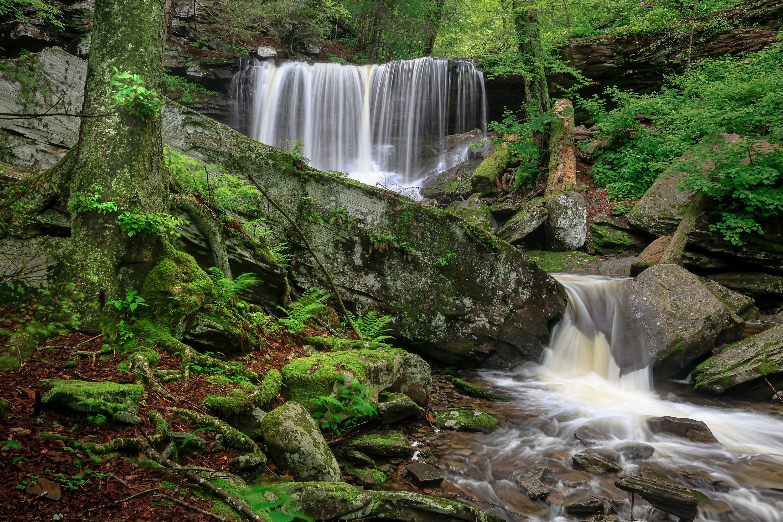 Ricketts Glen-2451.jpg