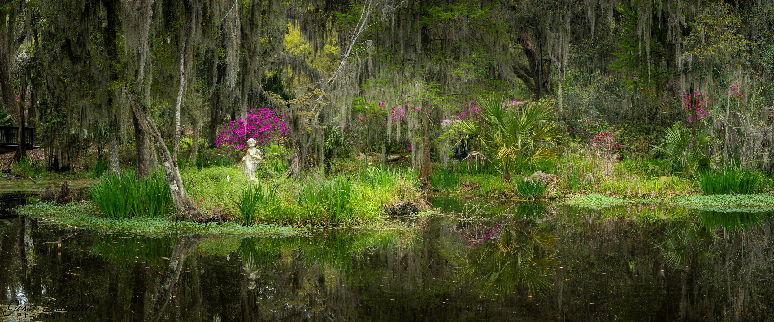 Anaphamorphic Charleston Cherub in the Swamp-.jpg