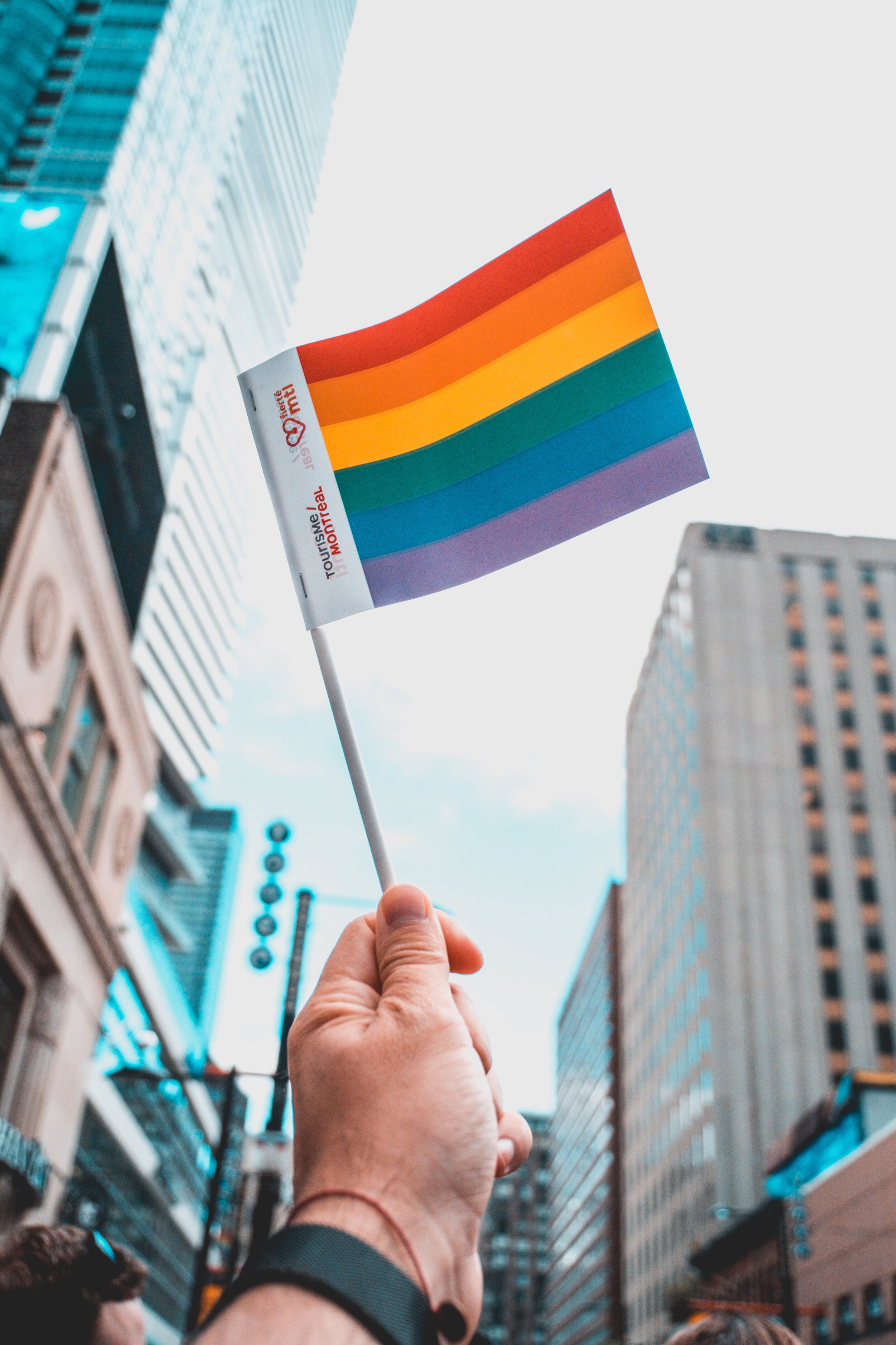lgblt-pride_t20_1bLOn1.jpg