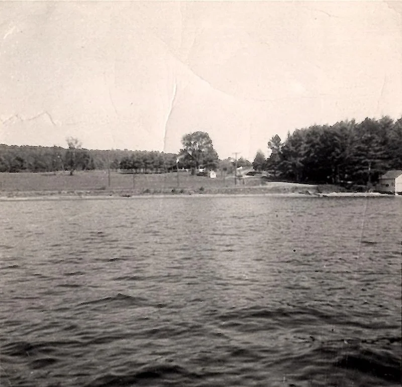 Logging Chain img002.jpg