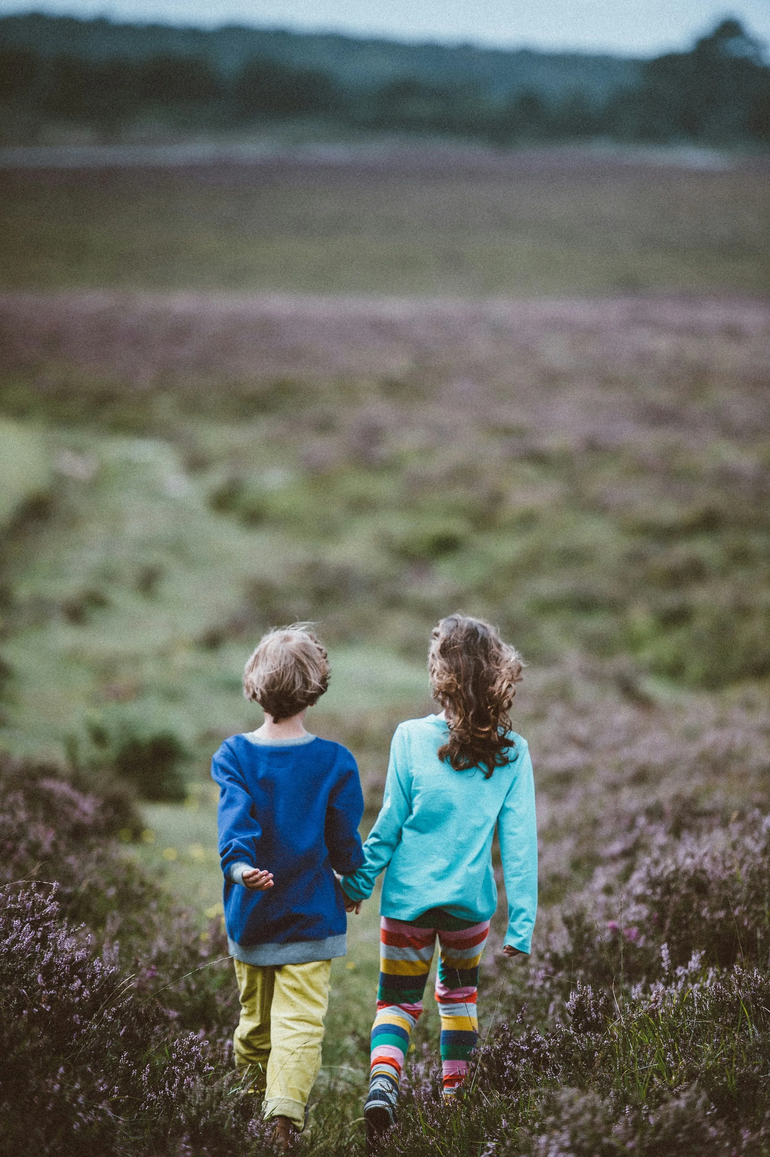 Two children walking hand in hand through a lavender field in a rural landscape during evening or late afternoon.