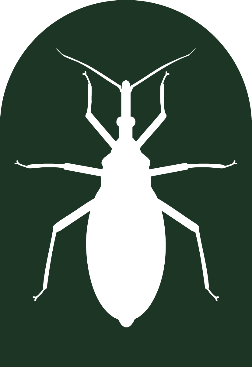 Silhouette of a bed bug with six legs and antennae, set against a dark green background.