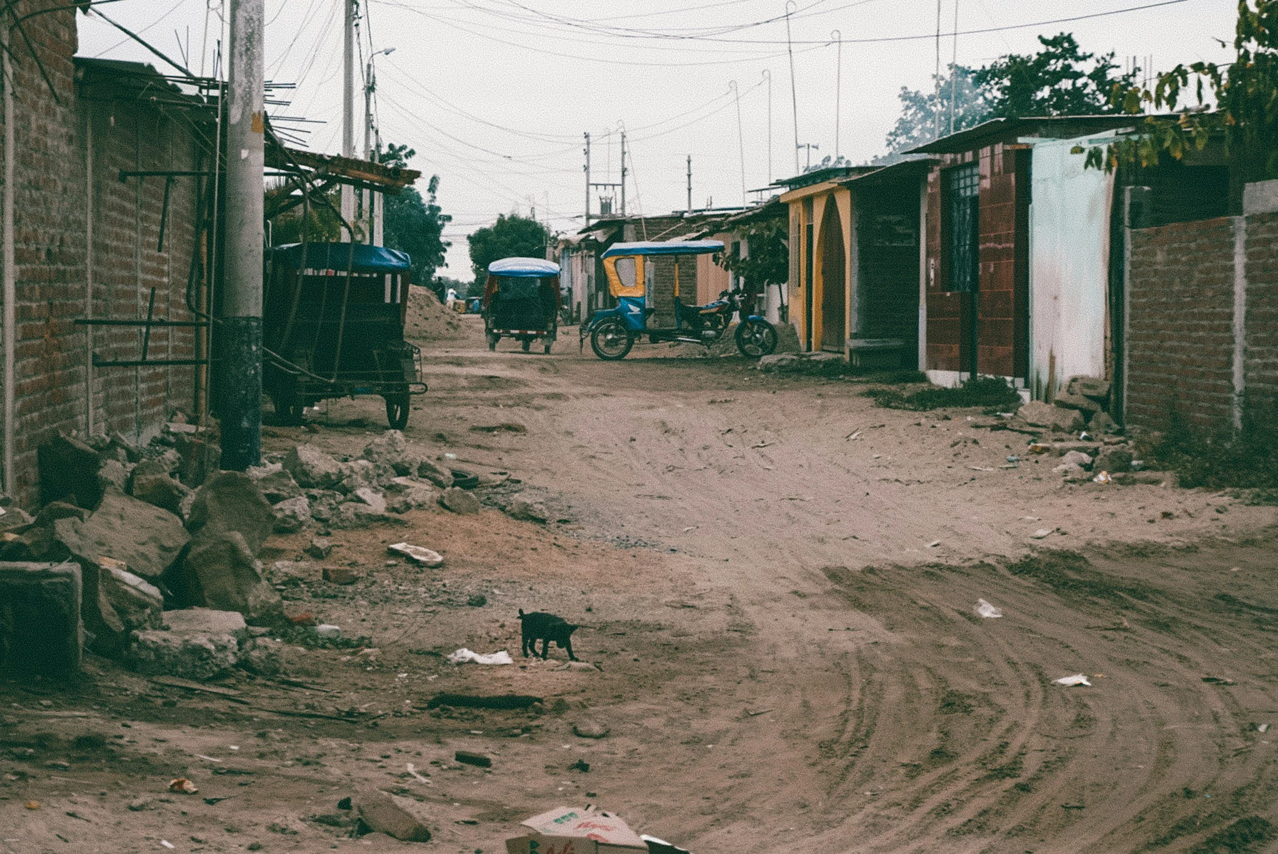 A dirt street in a small neighborhood with makeshift houses made of bricks and wood, power lines overhead, and a single black cat walking across the street.