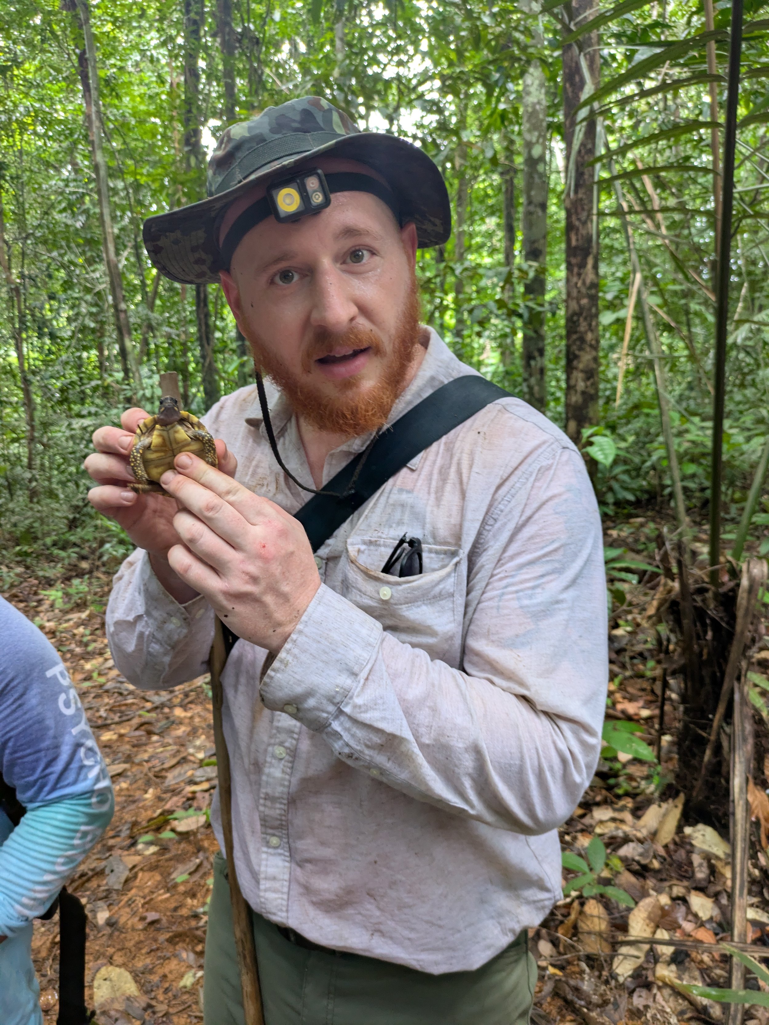 Box turtle!