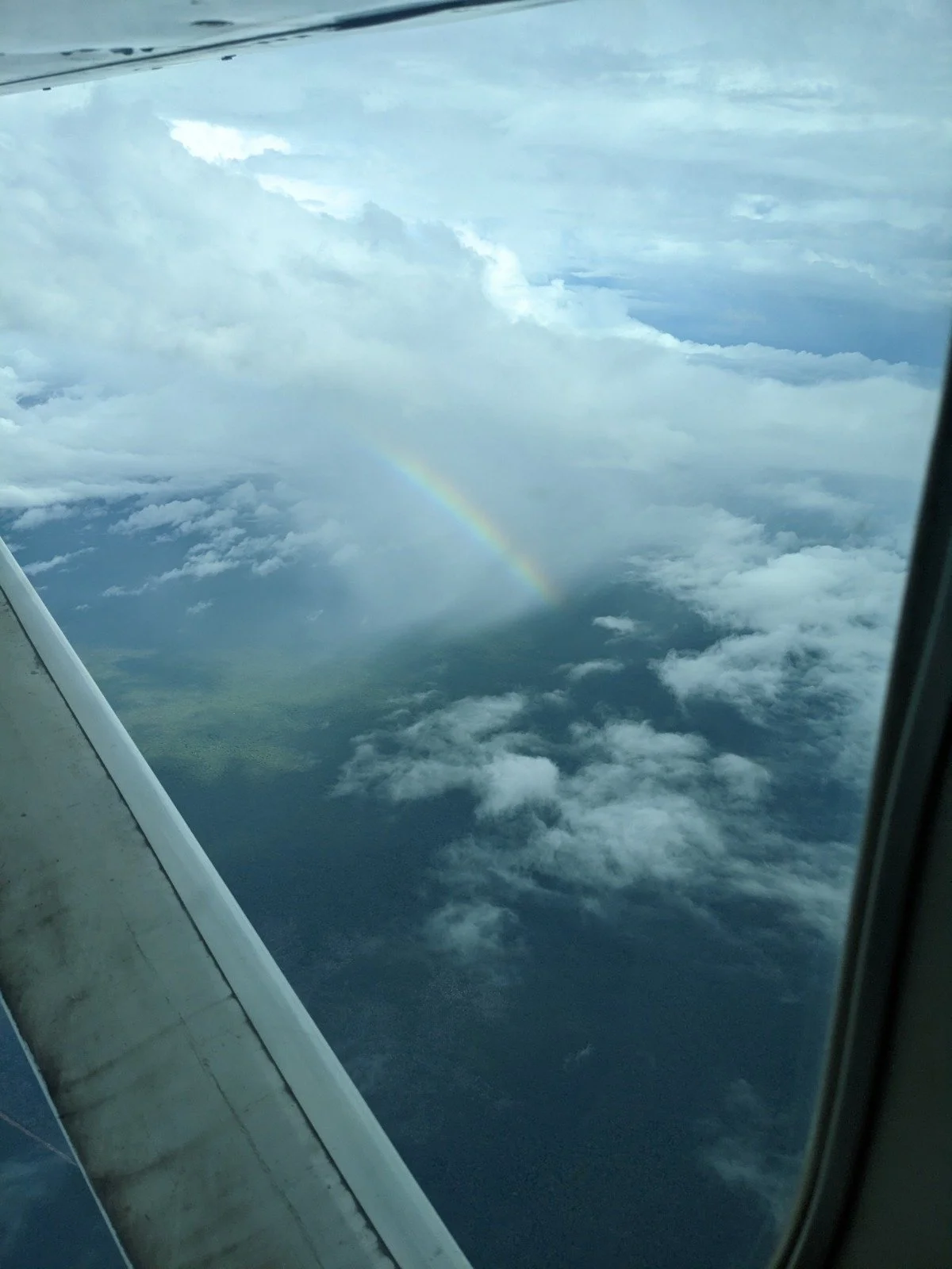 Guyana from the sky.