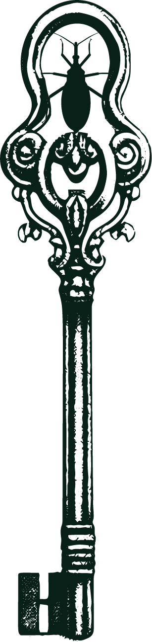 An ornate vintage skeleton key with intricate detailing, including a moth and a smiling creature engraved on its head and handle.
