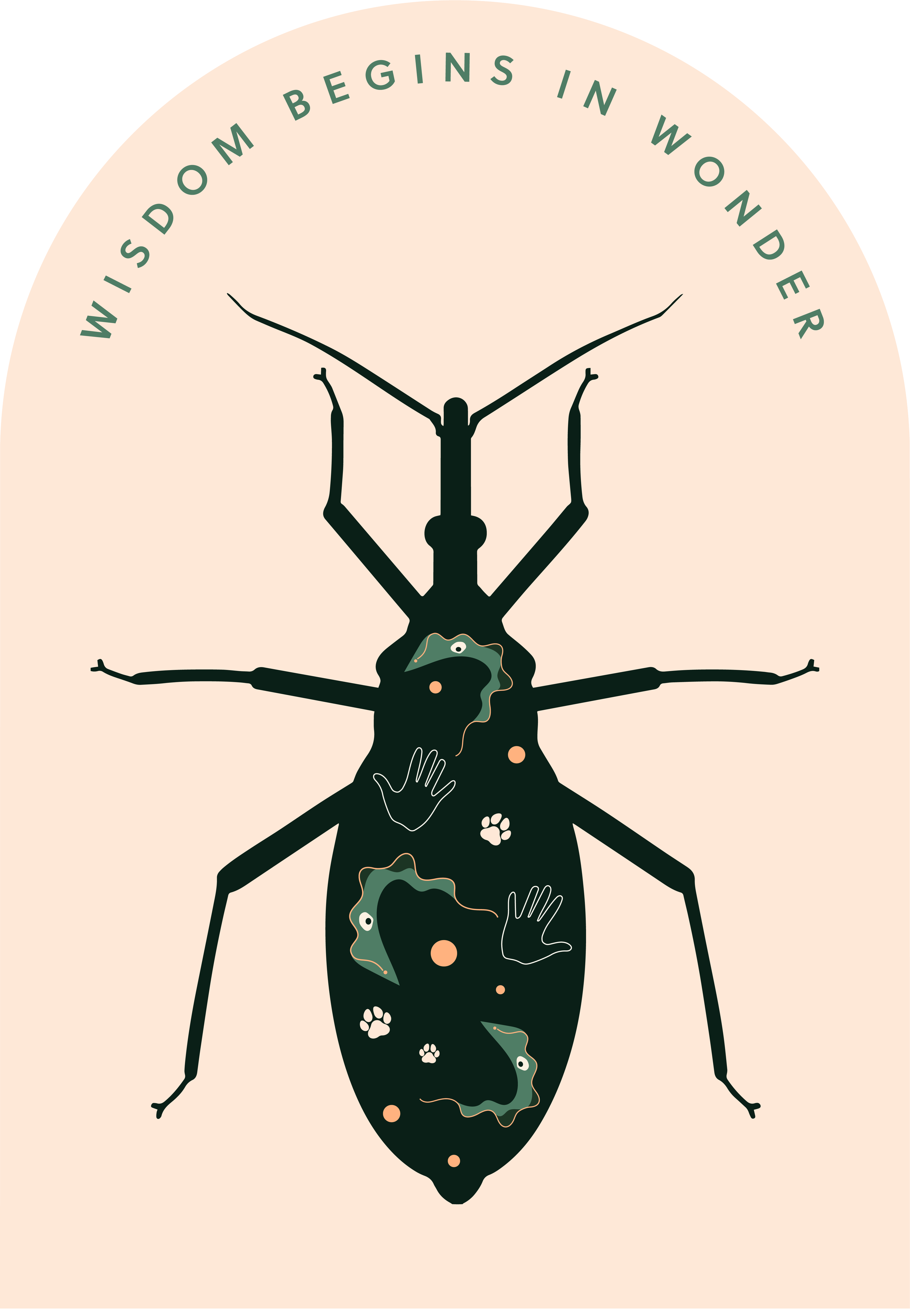 Illustration of a spider with the body of a black dog, decorated with small images of animals, toes, and paws. The spider's legs resemble branches, and a human hand is on its body. There is a moon and clouds on its body, and the spider is positioned against a light background.