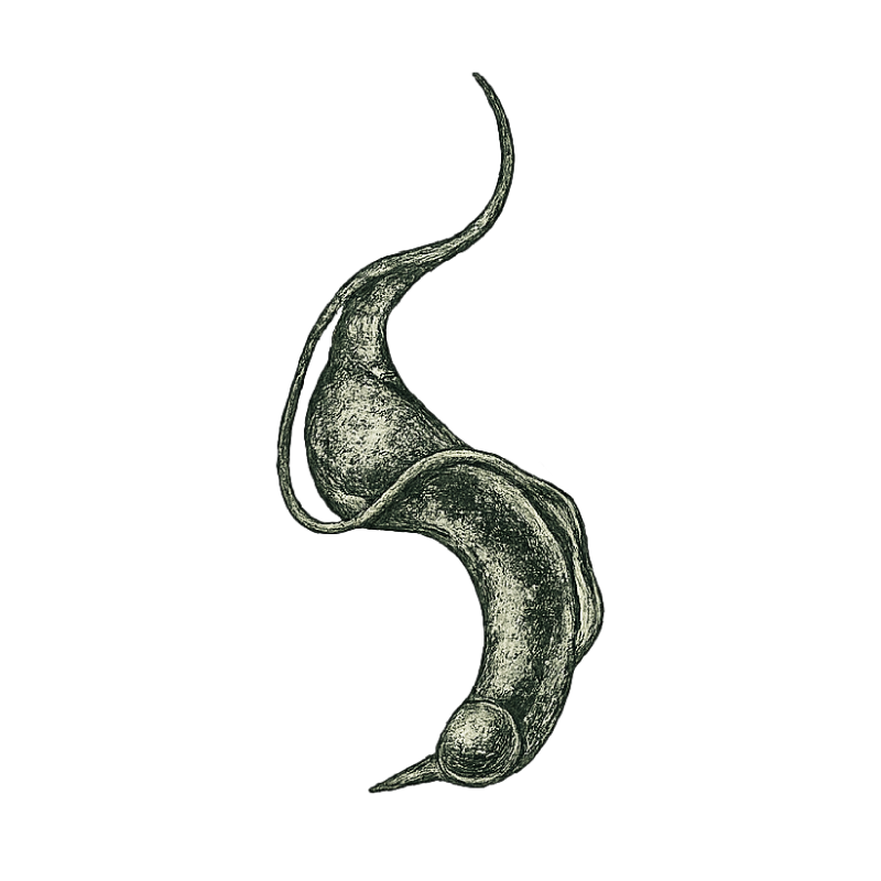 A black and white photo of a snake curled around a rectangular object with a gray surface, set against a mostly black background.