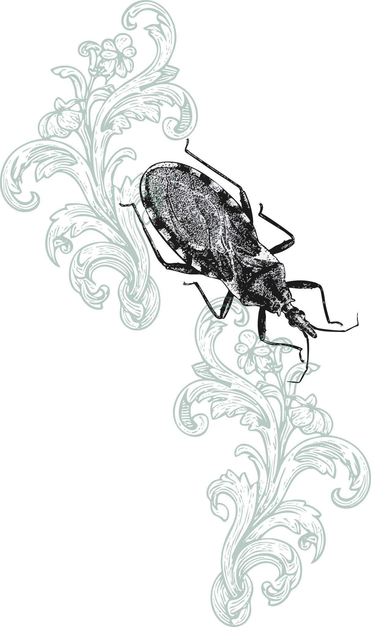 A Mosquito with decorative green floral patterns on a black background.