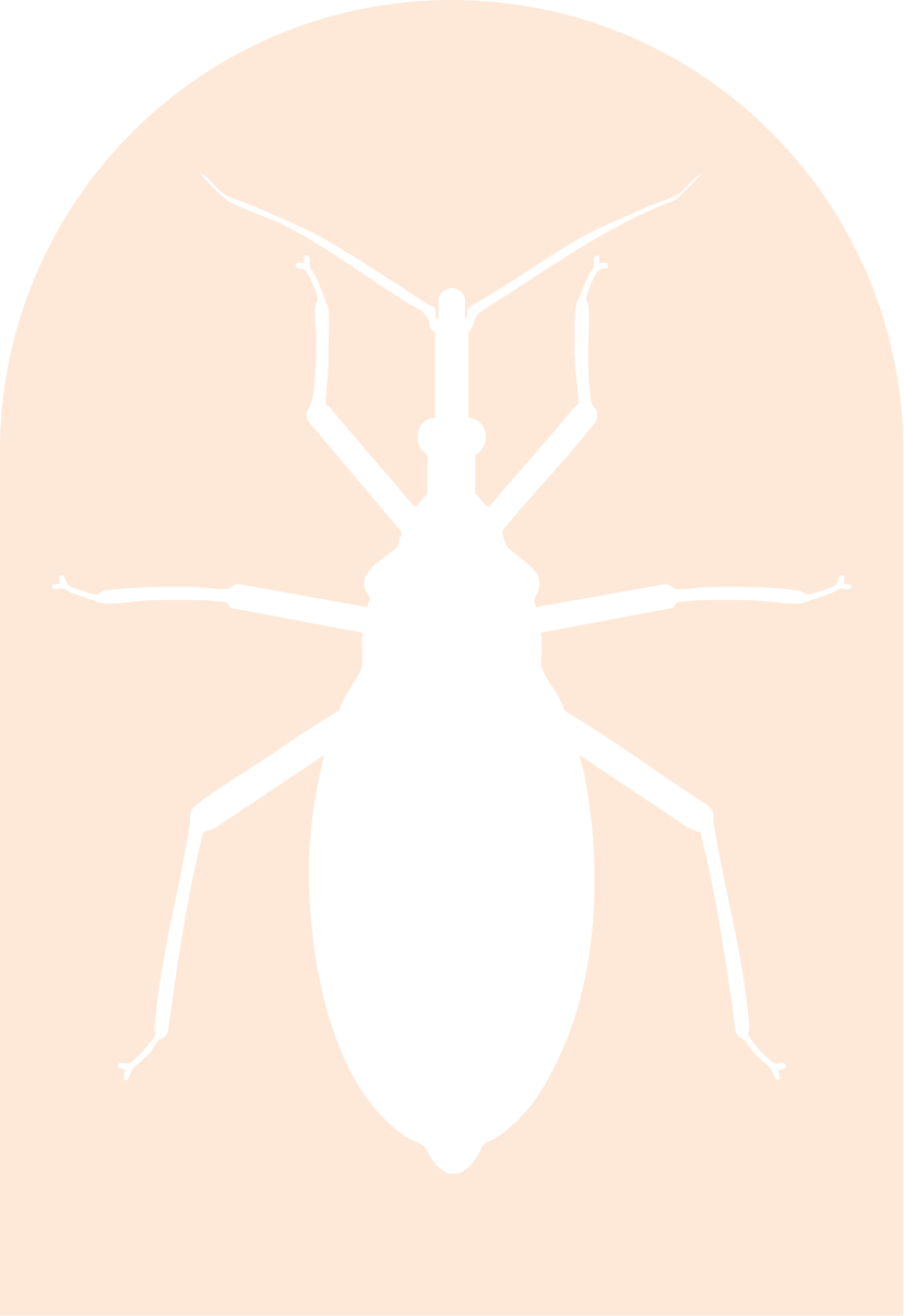 Silhouette of a bed bug on a light-colored background.