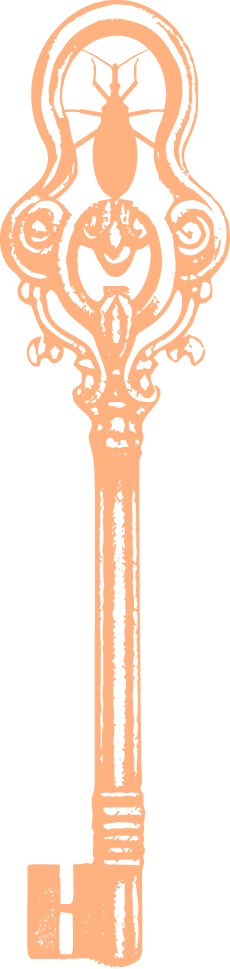A decorative illustration of a vintage key with intricate designs, featuring a beetle and a face in the bow, in a peach color on a transparent background.