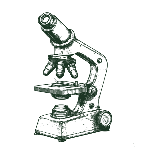 A detailed illustration of a microscope with an eyepiece, focusing knob, stage, and base.