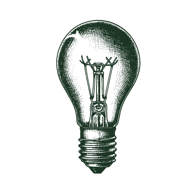 Illustration of a vintage-style incandescent light bulb in dark green on a black background.