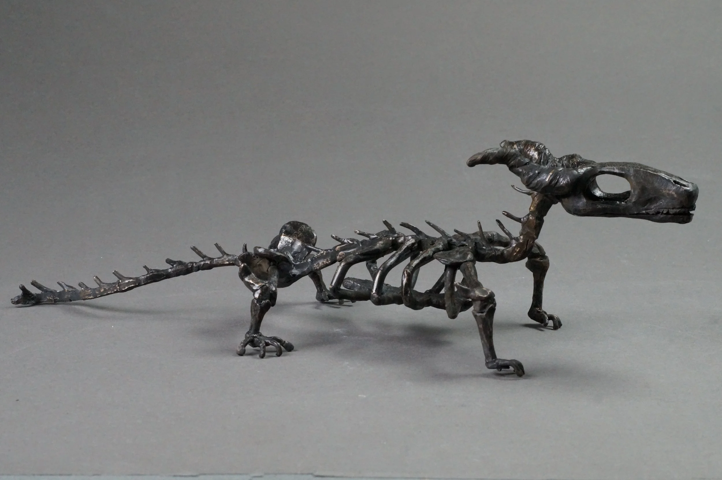 Basking_2_300.jpg
