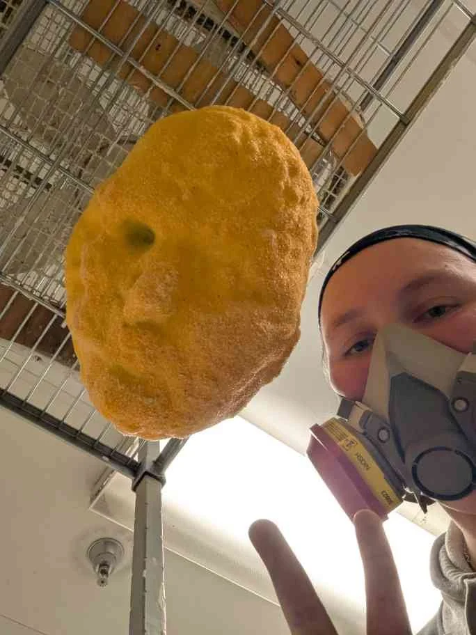 Face_dipping_wip.jpg