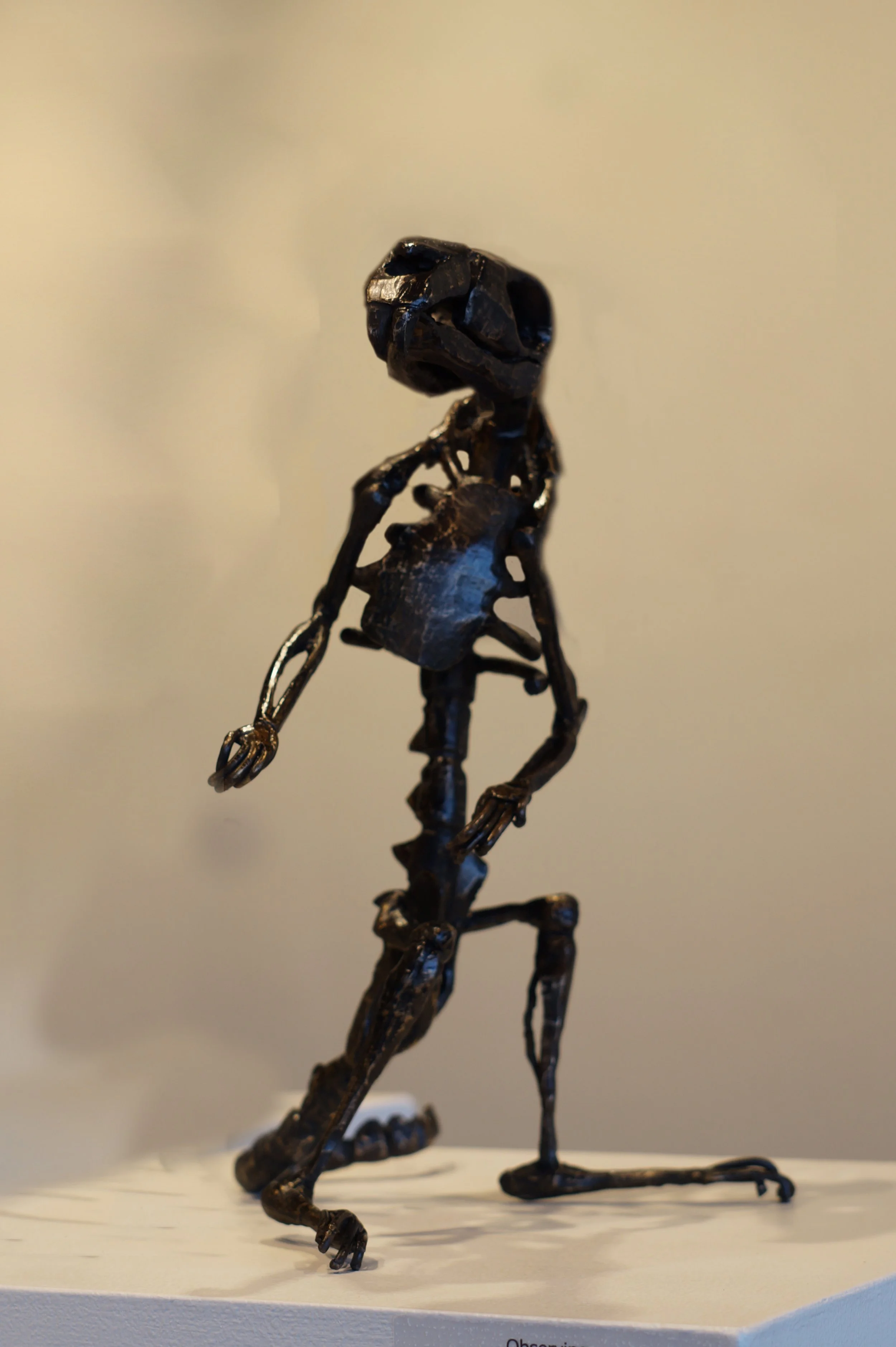 Observing_Gallery_300.jpg